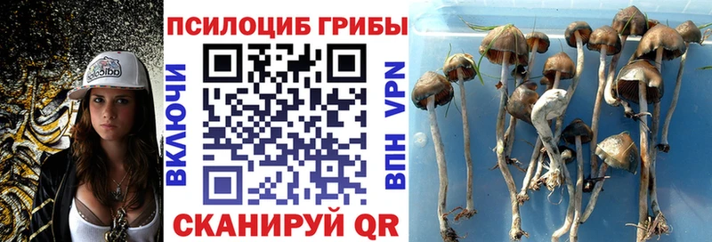 Галлюциногенные грибы Magic Shrooms  Купить закладки  Судак 